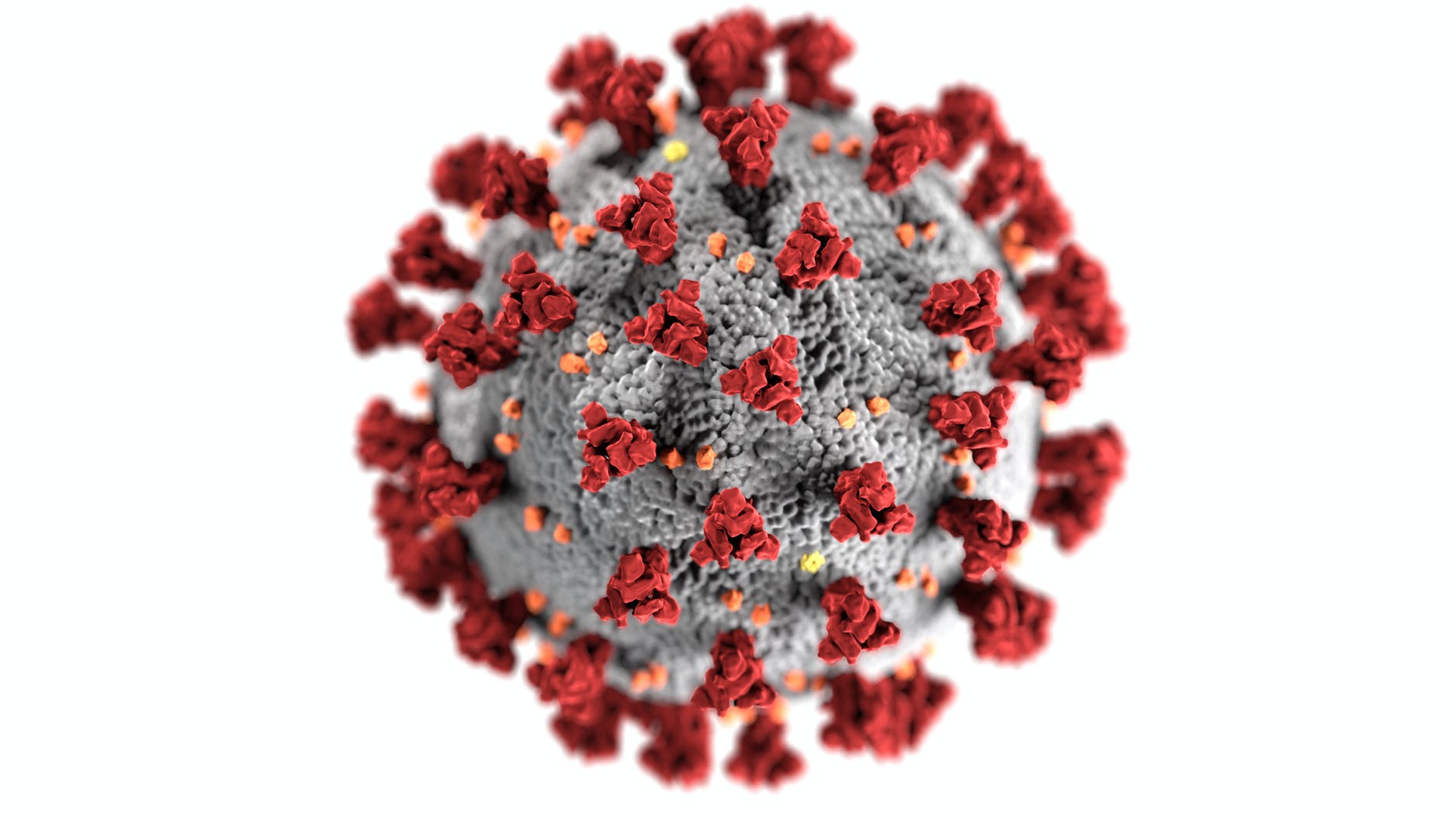 Covid 19 Virus cell