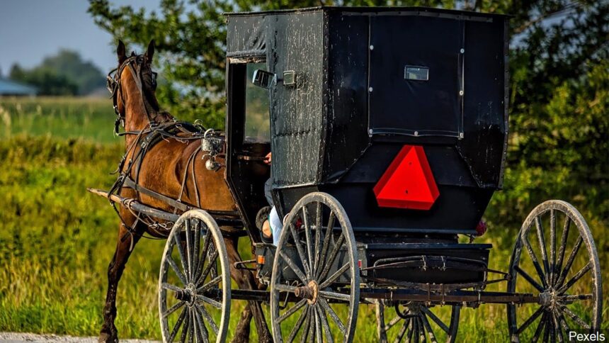 Whats it like to be gay and amish