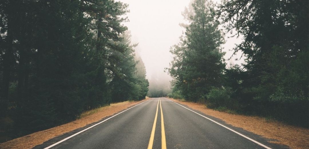 Health Journey From A Novice